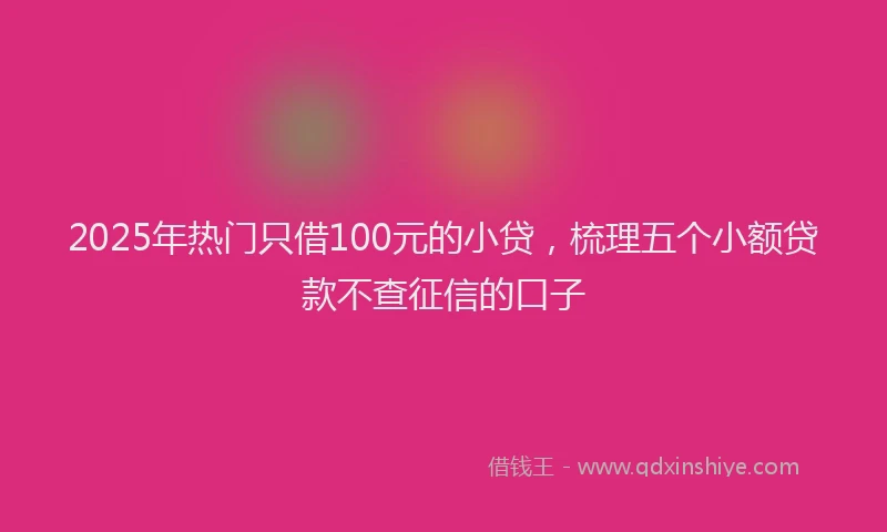 2025年热门只借100元的小贷，梳理五个小额贷款不查征信的口子