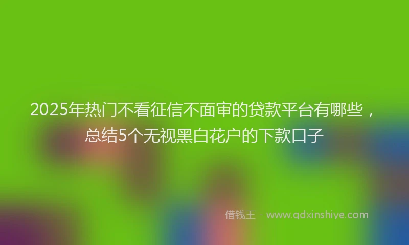2025年热门不看征信不面审的贷款平台有哪些，总结5个无视黑白花户的下款口子