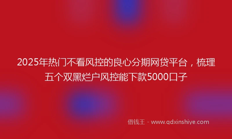 2025年热门不看风控的良心分期网贷平台，梳理五个双黑烂户风控能下款5000口子