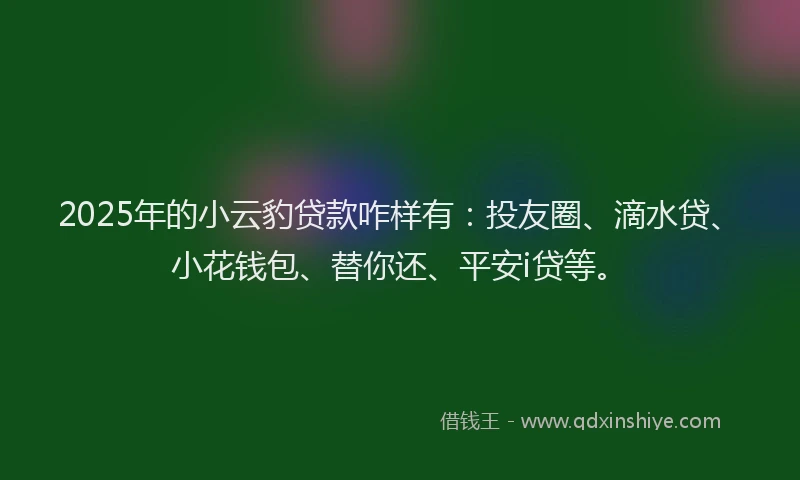 2025年的小云豹贷款咋样有:投友圈、滴水贷、小花钱包、替你还、平安i贷等。