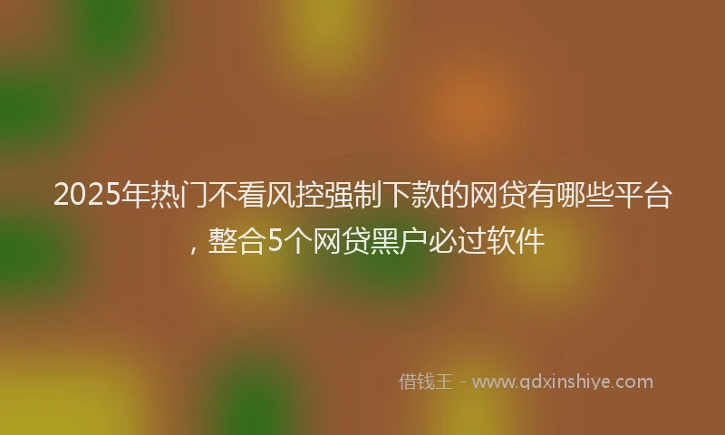 2025年热门不看风控强制下款的网贷有哪些平台，整合5个网贷黑户必过软件