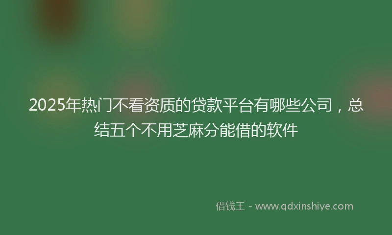 2025年热门不看资质的贷款平台有哪些公司，总结五个不用芝麻分能借的软件