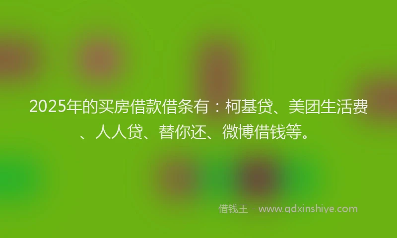 2025年的买房借款借条有：柯基贷、美团生活费、人人贷、替你还、微博借钱等。