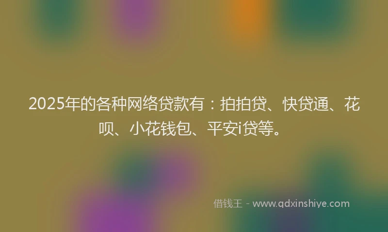 2025年的各种网络贷款有：拍拍贷、快贷通、花呗、小花钱包、平安i贷等。