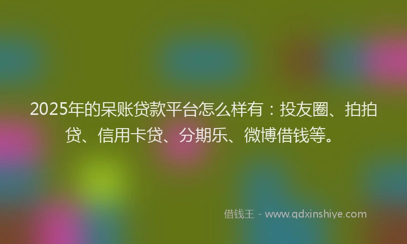 2025年的呆账贷款平台怎么样有：投友圈、拍拍贷、信用卡贷、分期乐、微博借钱等。