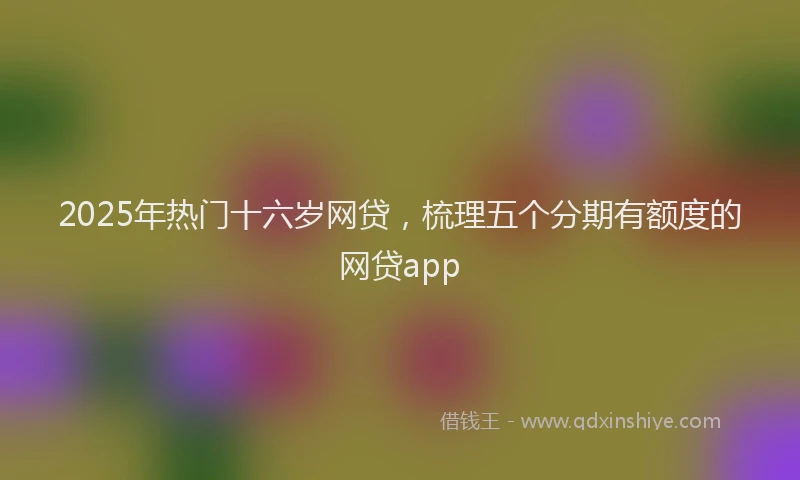 2025年热门十六岁网贷，梳理五个分期有额度的网贷app