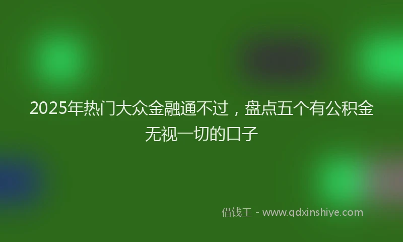 2025年热门大众金融通不过，盘点五个有公积金无视一切的口子