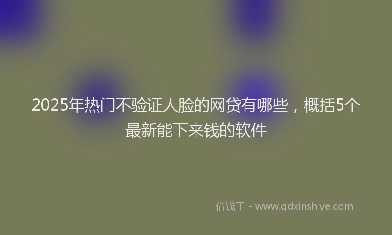 2025年热门不验证人脸的网贷有哪些，概括5个最新能下来钱的软件
