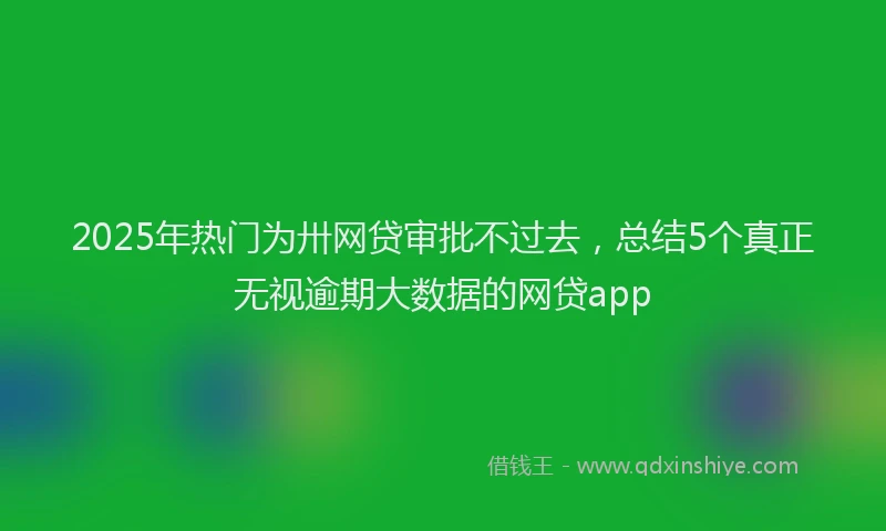 2025年热门为卅网贷审批不过去，总结5个真正无视逾期大数据的网贷app