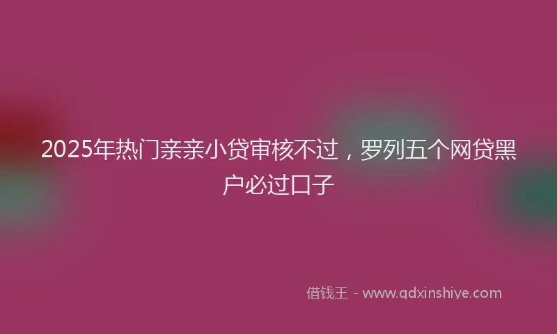 2025年热门亲亲小贷审核不过，罗列五个网贷黑户必过口子