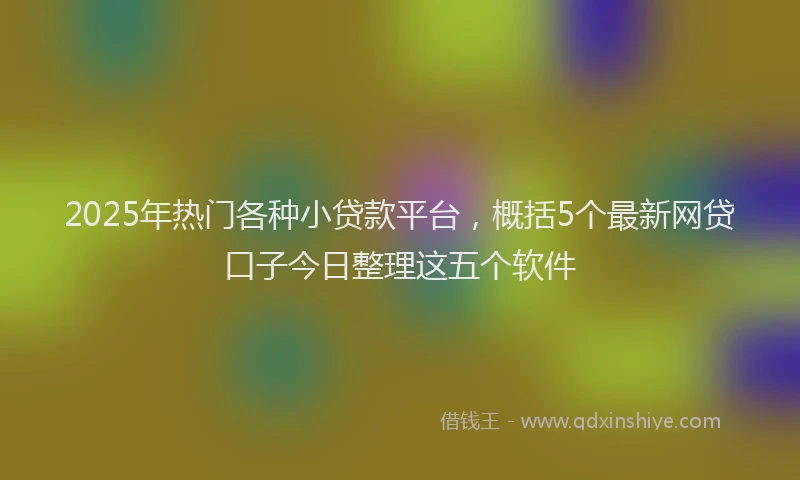 2025年热门各种小贷款平台，概括5个最新网贷口子今日整理这五个软件