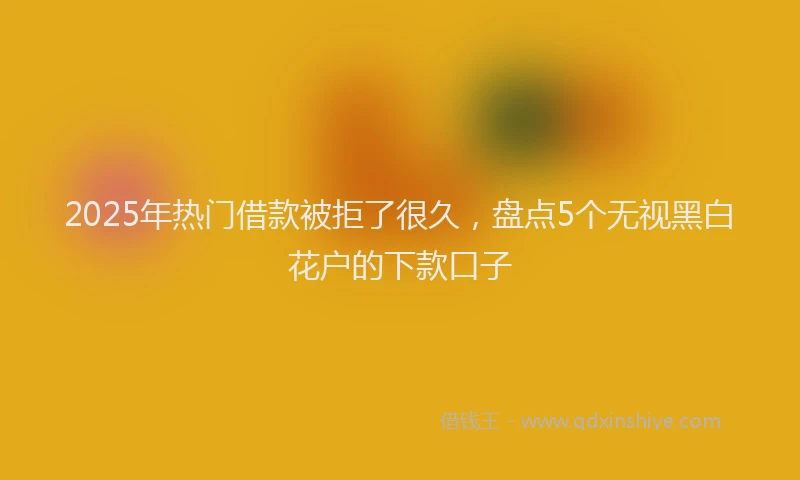2025年热门借款被拒了很久，盘点5个无视黑白花户的下款口子