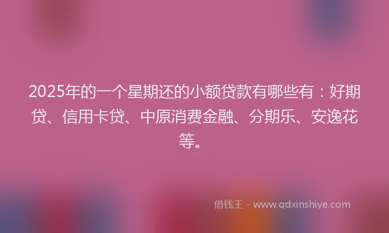 2025年的一个星期还的小额贷款有哪些有：好期贷、信用卡贷、中原消费金融、分期乐、安逸花等。