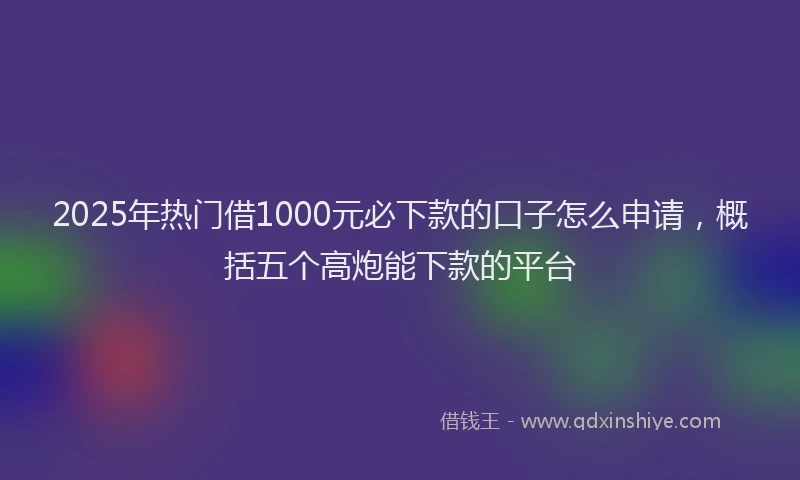 2025年热门借1000元必下款的口子怎么申请，概括五个高炮能下款的平台