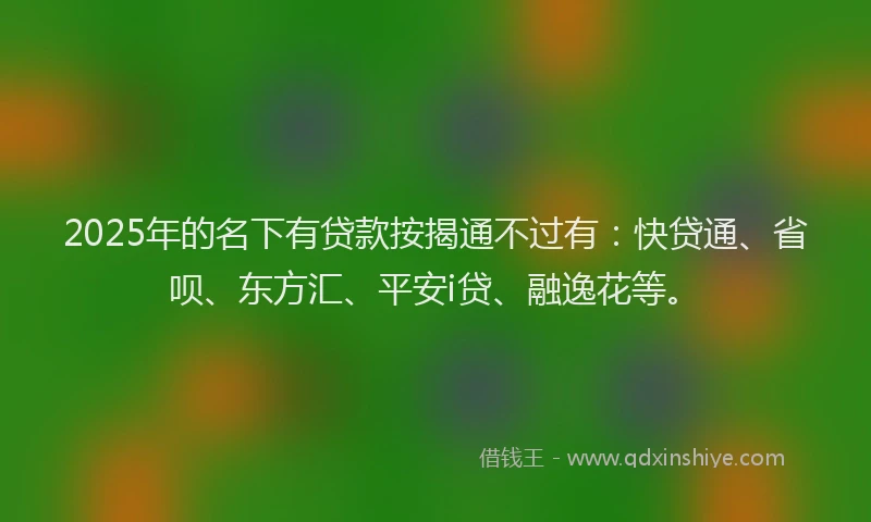 2025年的名下有贷款按揭通不过有：快贷通、省呗、东方汇、平安i贷、融逸花等。