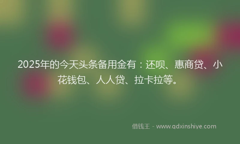 2025年的今天头条备用金有：还呗、惠商贷、小花钱包、人人贷、拉卡拉等。