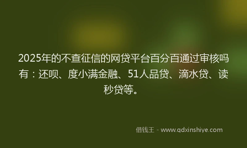 2025年的不查征信的网贷平台百分百通过审核吗有：还呗、度小满金融、51人品贷、滴水贷、读秒贷等。