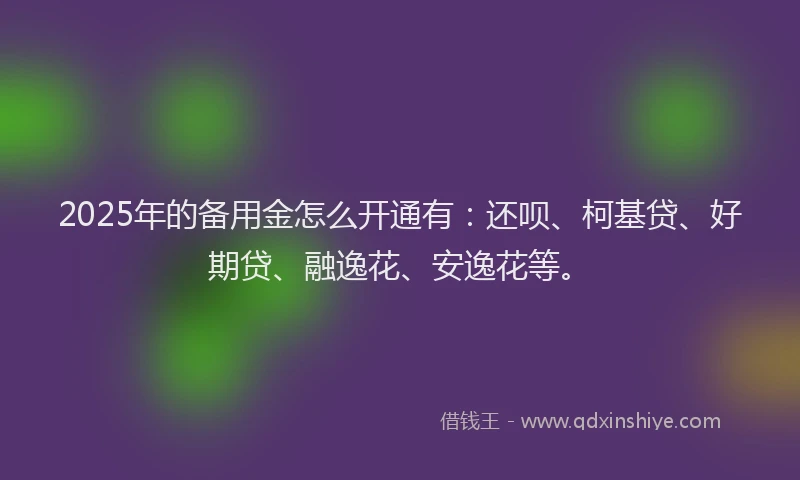 2025年的备用金怎么开通有：还呗、柯基贷、好期贷、融逸花、安逸花等。