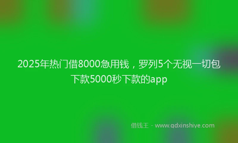 2025年热门借8000急用钱，罗列5个无视一切包下款5000秒下款的app