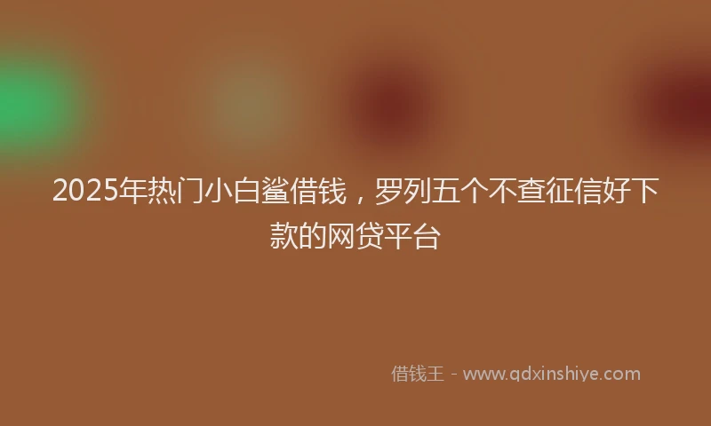 2025年热门小白鲨借钱，罗列五个不查征信好下款的网贷平台
