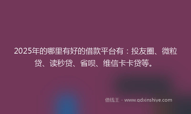 2025年的哪里有好的借款平台有：投友圈、微粒贷、读秒贷、省呗、维信卡卡贷等。