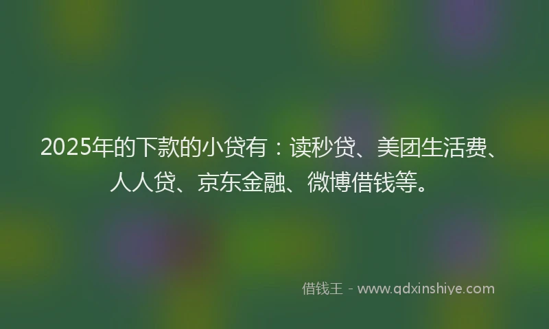 2025年的下款的小贷有：读秒贷、美团生活费、人人贷、京东金融、微博借钱等。