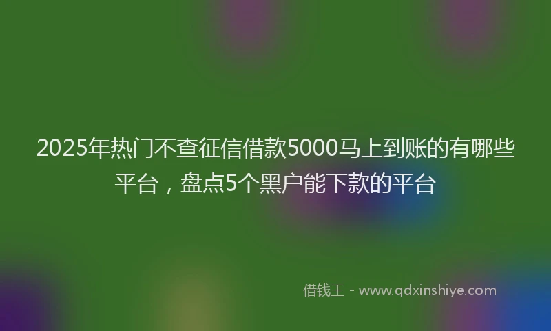 2025年热门不查征信借款5000马上到账的有哪些平台，盘点5个黑户能下款的平台
