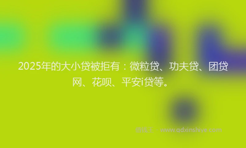 2025年的大小贷被拒有：微粒贷、功夫贷、团贷网、花呗、平安i贷等。