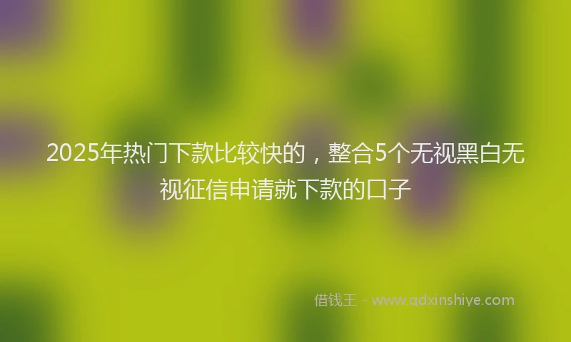 2025年热门下款比较快的，整合5个无视黑白无视征信申请就下款的口子