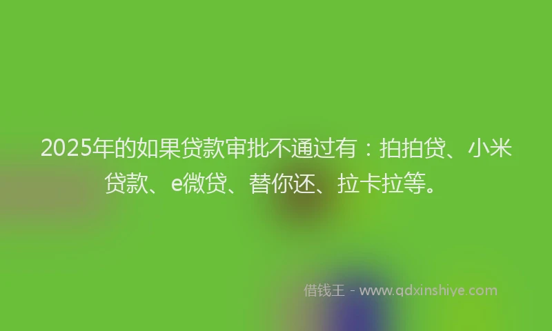 2025年的如果贷款审批不通过有：拍拍贷、小米贷款、e微贷、替你还、拉卡拉等。