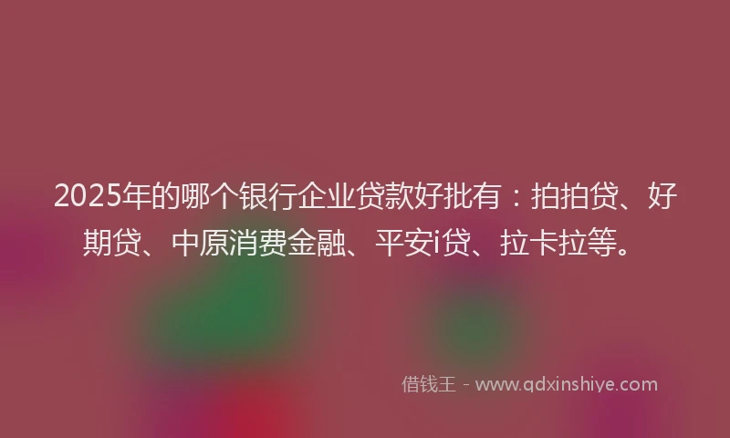 2025年的哪个银行企业贷款好批有：拍拍贷、好期贷、中原消费金融、平安i贷、拉卡拉等。