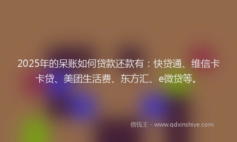 2025年的呆账如何贷款还款有：快贷通、维信卡卡贷、美团生活费、东方汇、e微贷等。