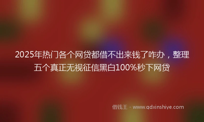 2025年热门各个网贷都借不出来钱了咋办，整理五个真正无视征信黑白100%秒下网贷