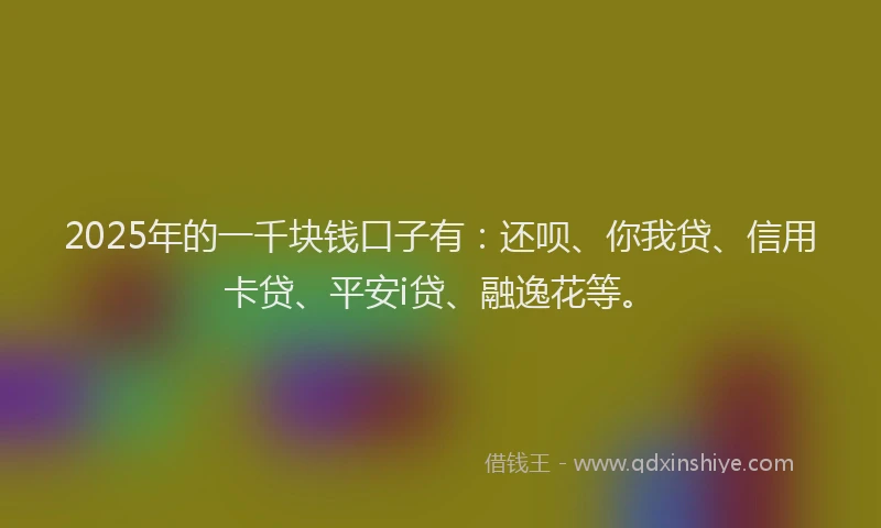 2025年的一千块钱口子有：还呗、你我贷、信用卡贷、平安i贷、融逸花等。