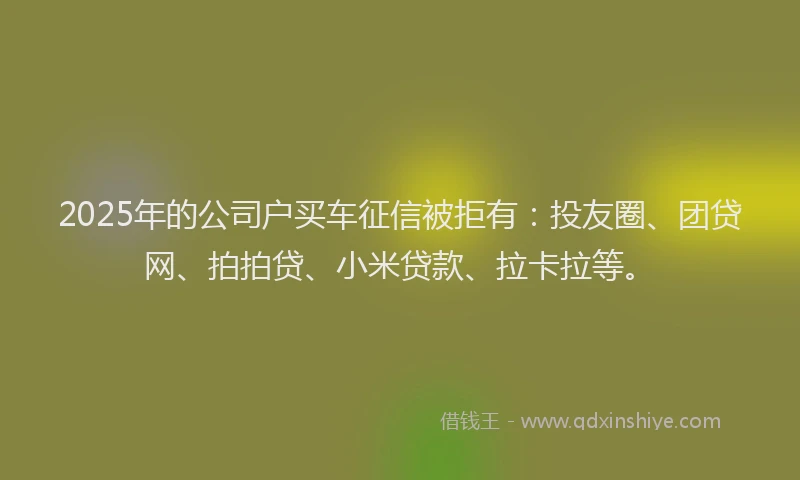 2025年的公司户买车征信被拒有：投友圈、团贷网、拍拍贷、小米贷款、拉卡拉等。