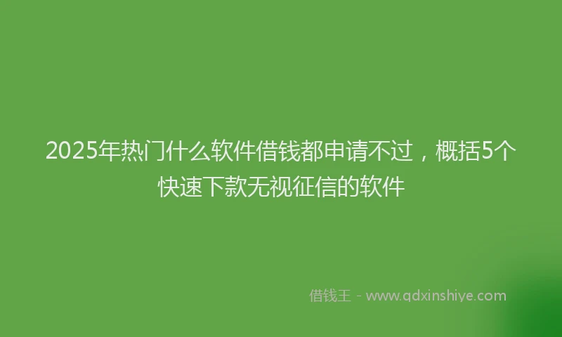 2025年热门什么软件借钱都申请不过，概括5个快速下款无视征信的软件