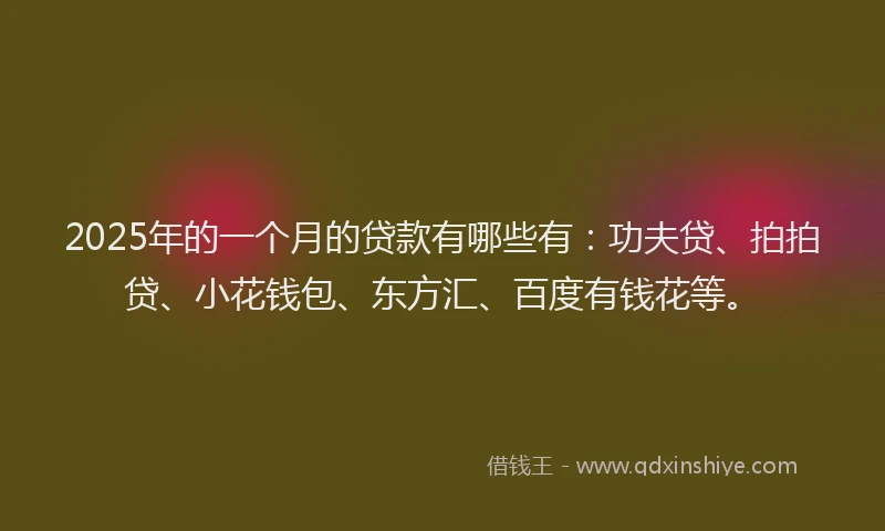 2025年的一个月的贷款有哪些有：功夫贷、拍拍贷、小花钱包、东方汇、百度有钱花等。