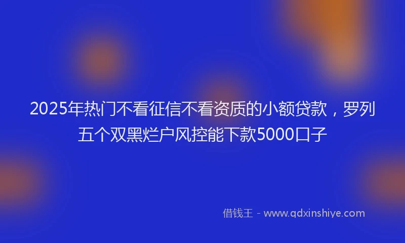 2025年热门不看征信不看资质的小额贷款，罗列五个双黑烂户风控能下款5000口子