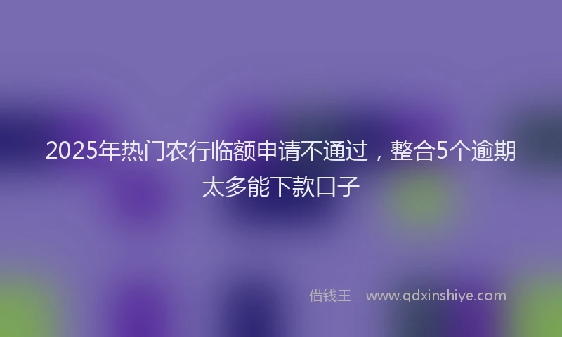 2025年热门农行临额申请不通过，整合5个逾期太多能下款口子