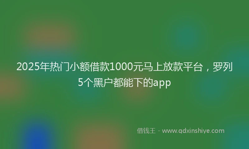 2025年热门小额借款1000元马上放款平台,罗列5个黑户都能下的app