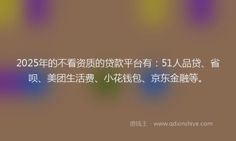 2025年的不看资质的贷款平台有：51人品贷、省呗、美团生活费、小花钱包、京东金融等。