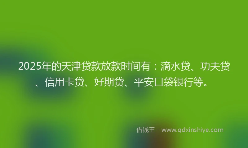 2025年的天津贷款放款时间有：滴水贷、功夫贷、信用卡贷、好期贷、平安口袋银行等。