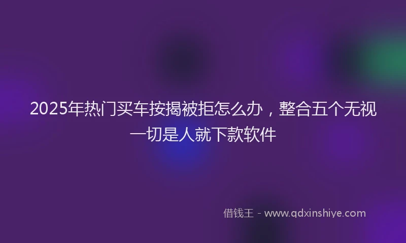 2025年热门买车按揭被拒怎么办，整合五个无视一切是人就下款软件
