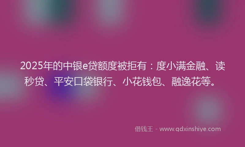 2025年的中银e贷额度被拒有：度小满金融、读秒贷、平安口袋银行、小花钱包、融逸花等。