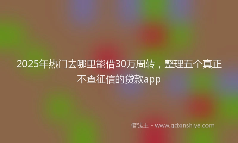 2025年热门去哪里能借30万周转，整理五个真正不查征信的贷款app