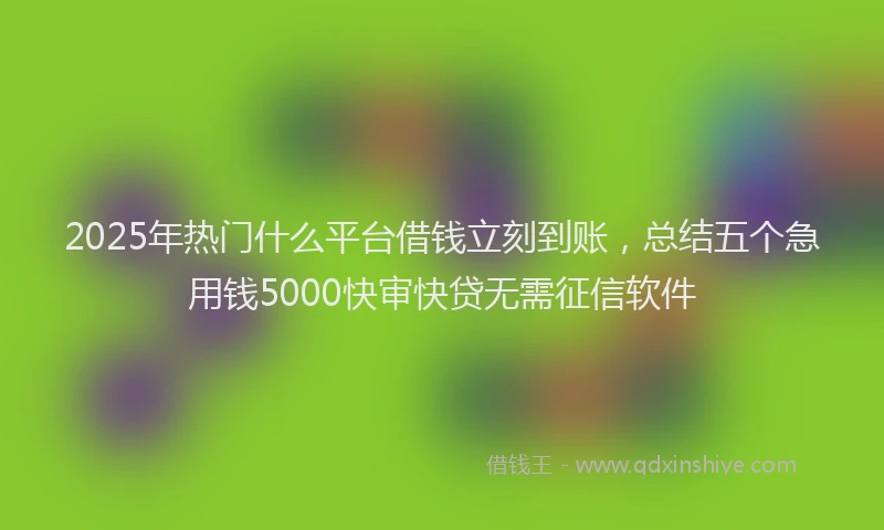 2025年热门什么平台借钱立刻到账，总结五个急用钱5000快审快贷无需征信软件