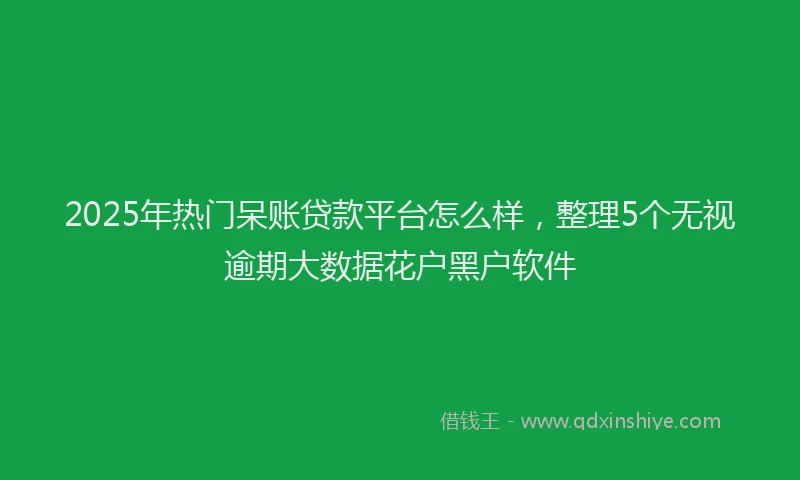 2025年热门呆账贷款平台怎么样，整理5个无视逾期大数据花户黑户软件