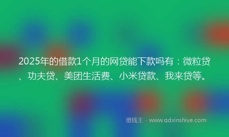 2025年的借款1个月的网贷能下款吗有：微粒贷、功夫贷、美团生活费、小米贷款、我来贷等。