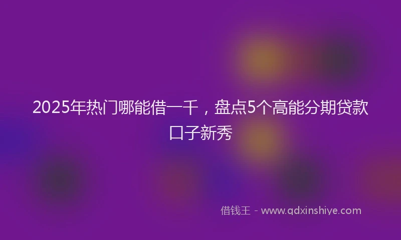 2025年热门哪能借一千，盘点5个高能分期贷款口子新秀