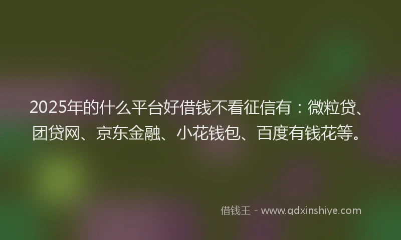 2025年的什么平台好借钱不看征信有：微粒贷、团贷网、京东金融、小花钱包、百度有钱花等。